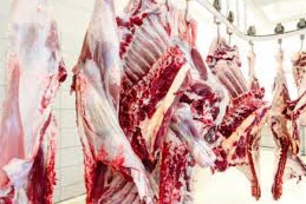 Larang Penyembelihan Halal, Muslim Belgia Ajukan Banding ke Pengadilan 