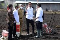 Jokowi Minta Kementan Maksimalkan Lahan Pertanian Papua Barat