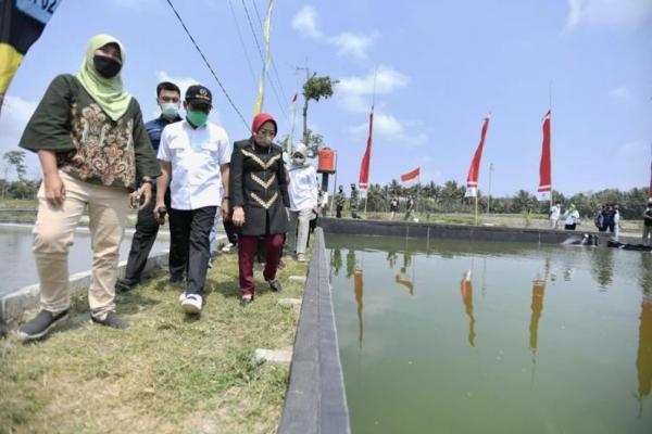 Gus Menteri Luncurkan Sistem Internet of Thing Budidaya Ikan Koi