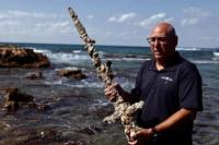 Seorang Penyelam Temukan Pedang dari Zaman Perang Salib 900 Tahun lalu di Perairan Israel