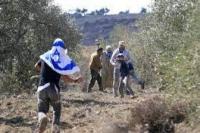 Pemukim Israel Curi Tanaman Zaitun Palestina di Tepi Barat