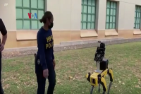 Pro Kontra Penggunaan Anjing Robotik oleh Kepolisian