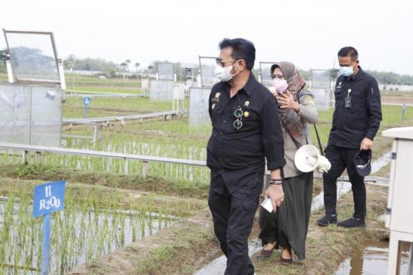 Mentan: Fungsi Strategis Balingtan Untuk Jawab Tantangan Sektor Pertanian