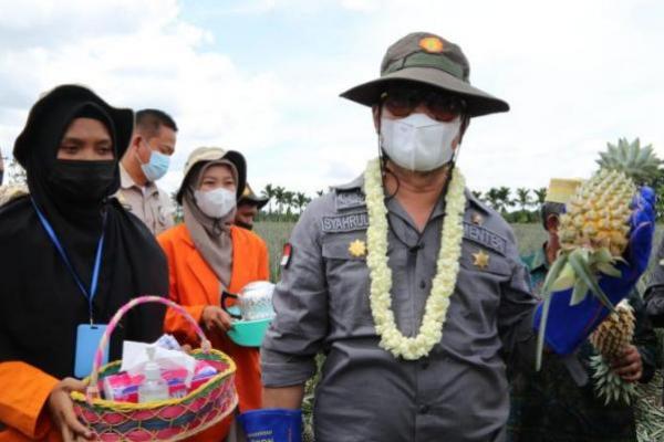 Mentan Dorong Pengembangan Hilirisasi Nanas Jambi Berorientasi Ekspor