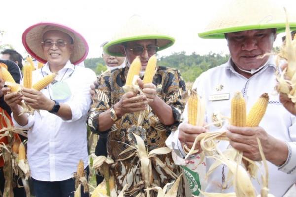 Fadel Dorong Sinergi Petani, Pemda dan Pusat Tingkatkan Potensi Daerah