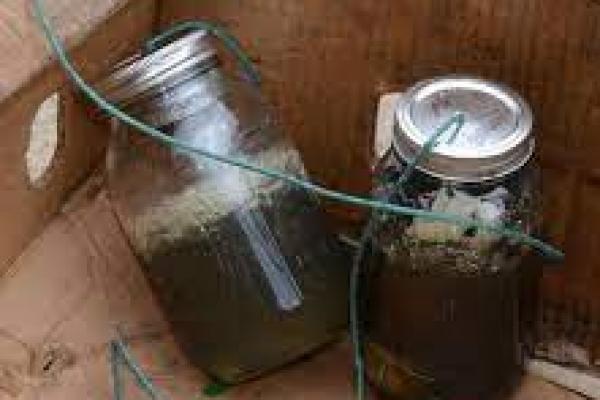 Bom Rakitan Lukai 11 Mahasiswa Universitas di Kamerun