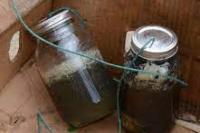 Bom Rakitan Lukai 11 Mahasiswa Universitas di Kamerun