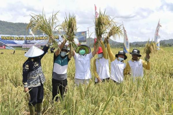 Mendes PDTT: Pertanian Terbukti Tulang Punggung Ketahanan Ekonomi Nasional di Masa Pandemi