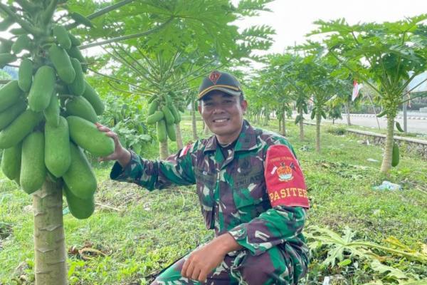 Perkuat Ketahanan Pangan di Perbatasan, Ini yang Dilakukan Satgas Pamtas!
