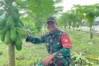 Perkuat Ketahanan Pangan di Perbatasan, Ini yang Dilakukan Satgas Pamtas!