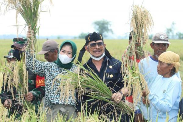 Syahrul Dorong Karawang Jadi Pertanian yang Mampu Panen Tiga Kali dalam Semusim