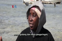 Ekspor Rumput Laut Tingkatkan Kesejahteraan Petani Perempuan di Kenya