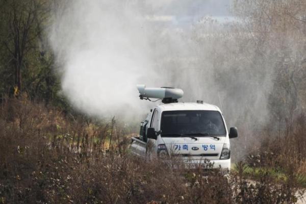 Korsel melaporkan Dugaan Kasus Flu Burung