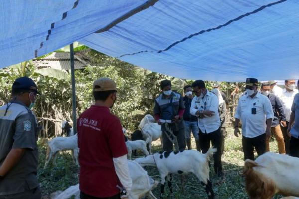 Kunjungi Korban Gunung Semeru, Mentan: Tanaman dan Hewan Ternak Harus Diselamatkan