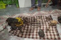 Buat Geger Warga, Kerangka Manusia Ditemukan di Sungai Mandar