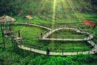 Menparekraf Bentuk Pendamping Desa Wisata