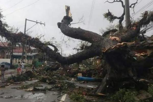 Sedikitnya Topan Filipina Makan Korban Tewas 75 Orang 