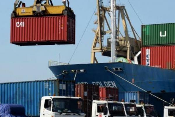 Maksimalkan Perolehan Devisa, Regulasi Pengapalan dan Logistik Dinilai Perlu Diubah