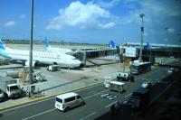 AP II Operasikan Terminal 2F untuk Penerbangan Internasional