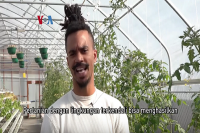 Pertanian Vertikal Komunitas Perkotaan Solusi Masalah Pangan