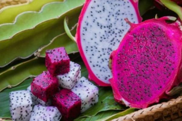 9 Manfaat Buah Naga untuk Penderita Kanker