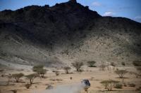 Penyelidik Prancis Segera ke Arab Saudi Selidiki Reli Dakar
