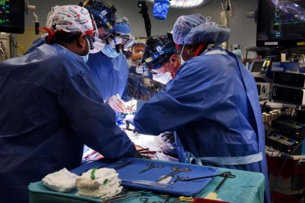 Pria Amerika Ini Sembuh Berkat Cangkok Jantung Babi