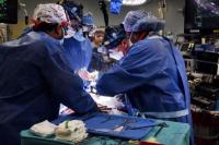 Pria Amerika Ini Sembuh Berkat Cangkok Jantung Babi