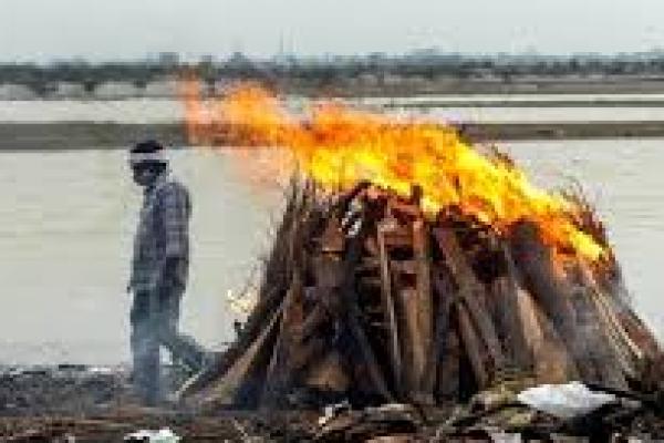 Tak Peduli Covid, 1.500 Orang Hadiri Pemakaman Monyet di India