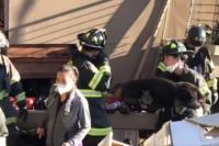 Terperangkap Reruntuhan 6 Hari, Anjing Ini Berhasil Selamat