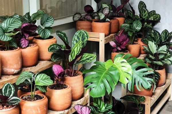   Produk-produk Ini Bakal Laris  Manis di 2022, Apa Saja?