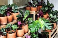   Produk-produk Ini Bakal Laris  Manis di 2022, Apa Saja?