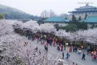 Alumnus Anonim Sumbang Universitas Wuhan Rp175,89 miliar 