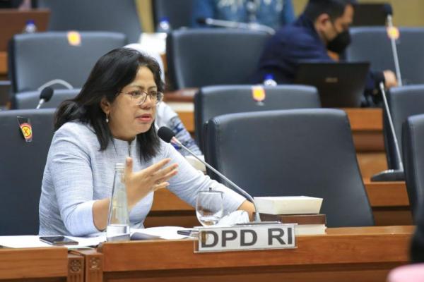 PPUU DPD Bahas Kelanjutan RUU BUMDES Bersama Baleg DPR dan Menteri Desa