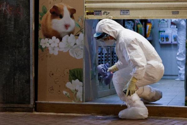 Pecinta Hewan Berhadapan dengan Polisi Hong Kong soal Pemusnahan Hamster