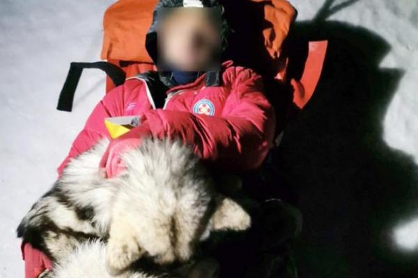 Anjing Ajaib Ini Bantu Selamatkan Pendaki yang Terluka