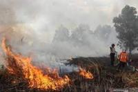 Menteri LH Sebut Baru 1060 Perusahaan Sawit Siap Cegah Kebakaran Lahan