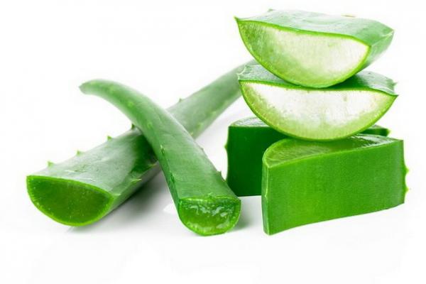 Manfaat Lidah Buaya untuk Kecantikan, Atasi Jerawat hingga Sembuhkan Luka