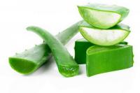 Manfaat Lidah Buaya untuk Kecantikan, Atasi Jerawat hingga Sembuhkan Luka