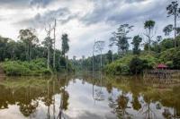 Dikunjungi Ahli Biologi, KRB Jadi Tempat Pelestarian Flora Asli Kalimantan yang Hampir Punah