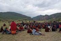Penggembala Maasai Tanzania Tolak Rencana Negara Merebut Tanah Leluhur