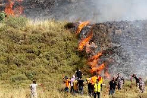Aksi Kekerasan Pemukim Yahudi di Tepi Barat Meningkat 