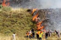 Aksi Kekerasan Pemukim Yahudi di Tepi Barat Meningkat 