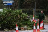 Lebih dari 200 Ribu Rumah di Inggris Tanpa Listrik Usai Badai Eunice