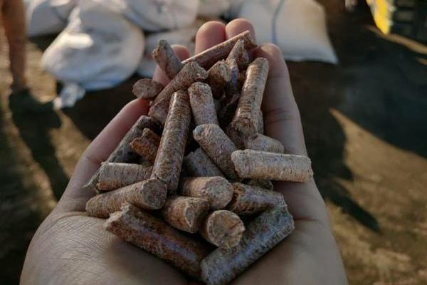 PLN dan Perhutani Kerjasama Pastikan Pasokan Biomassa untuk PLTU