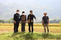 Mentan SYL Dorong Pengembangan Integrated Farming di Aceh 