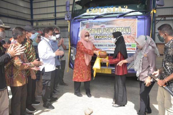 Kementan dan Pemda Bima Kirim 2.600 Ton Jagung ke Surabaya 