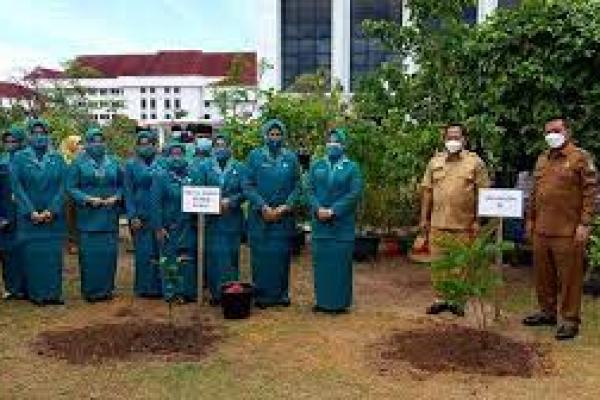 Harga Pangan Tidak Stabil, Mendagri Dorong Cocok Tanam di Pekarangan Rumah