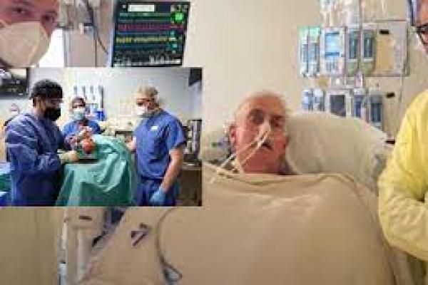 2 Bulan Setelah Menerima Transplantasi Jantung Babi, David Bennett Meninggal