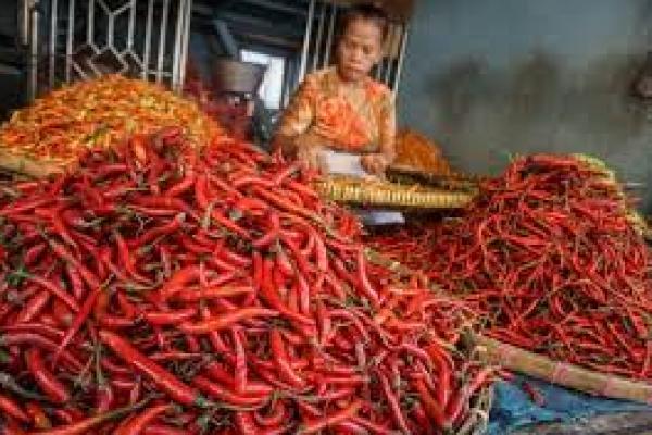 Jelang Idul Adha, Bapanas Antisipasi Fluktuasi Harga Cabai dan Bawang Merah